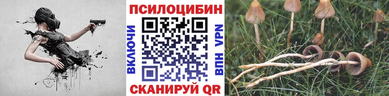 как найти   Задонск  Псилоцибиновые грибы мицелий 